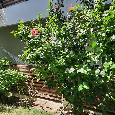 Villa Casa Betti Jijoca de Jericoacoara Exterior foto