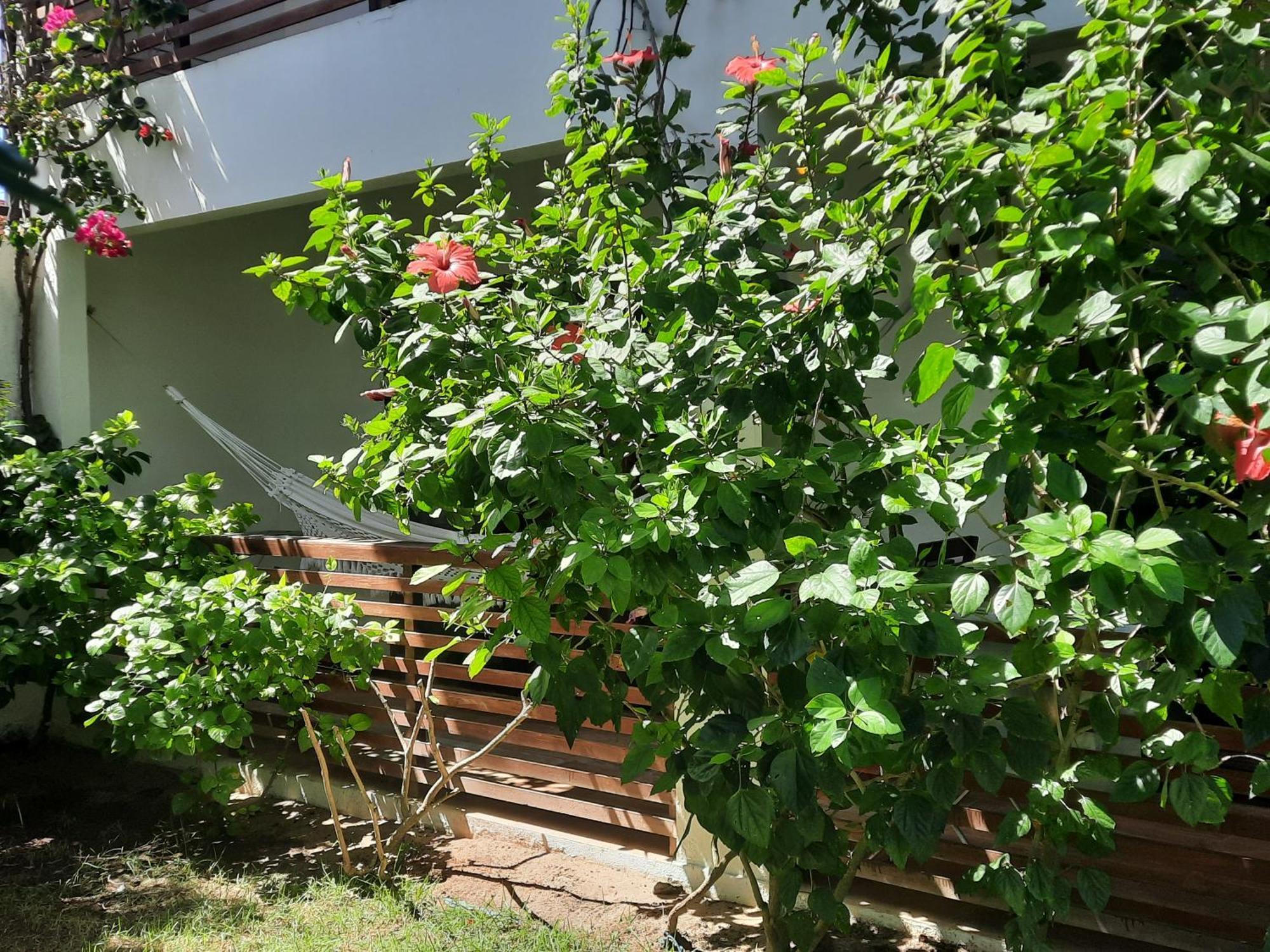 Villa Casa Betti Jijoca de Jericoacoara Exterior foto